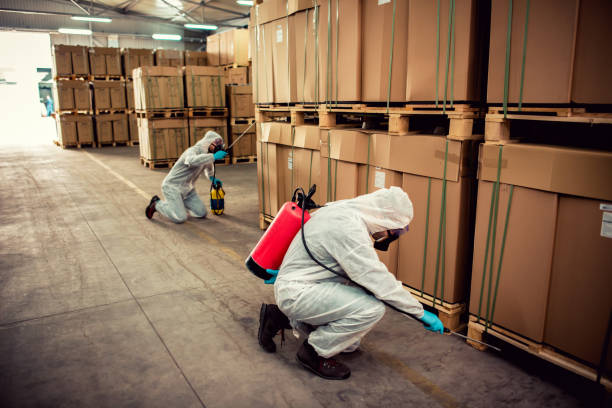 Best Pest Control Near Me  in Limestone, IL