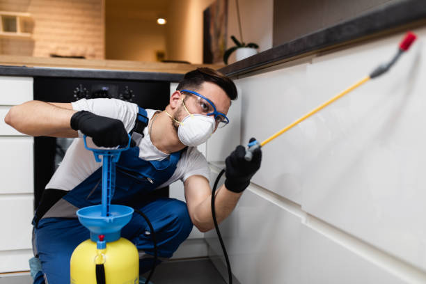 Best Commercial Pest Control Services  in Limestone, IL