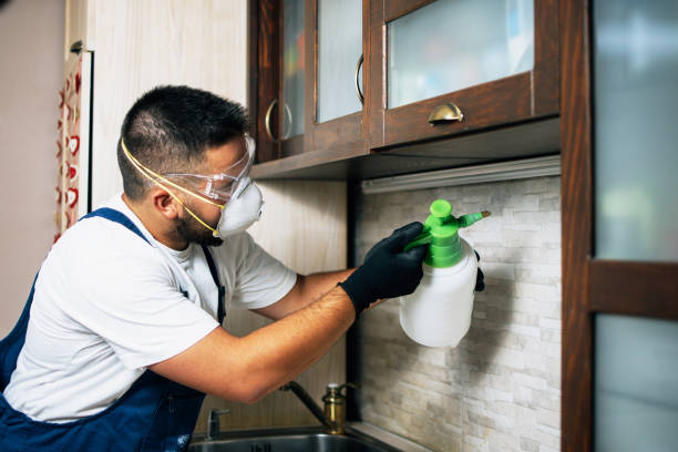 Best Residential Pest Control  in Limestone, IL