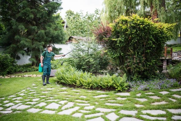 Best Affordable Pest Control Services  in Limestone, IL