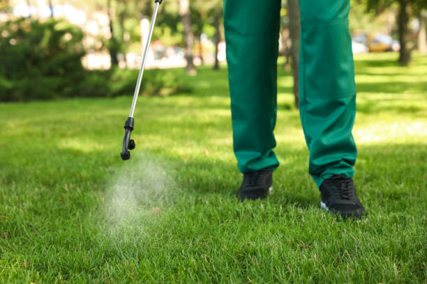 Professional Pest Control in Limestone, IL
