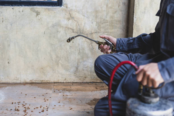 Best Best Pest Control Companies  in Limestone, IL